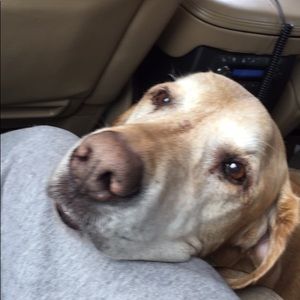 Meet your Posher, Frank